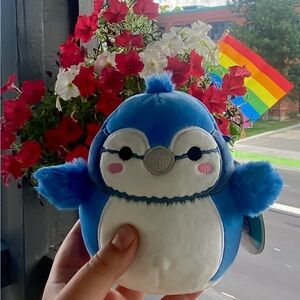 Babs the Bluejay Squishmallow